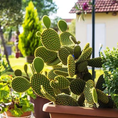 And Sea Апарт-отель 3*